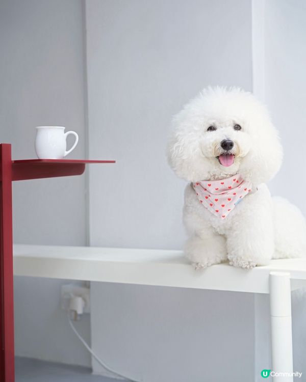 上環新街新cafe 大推邪惡曲奇