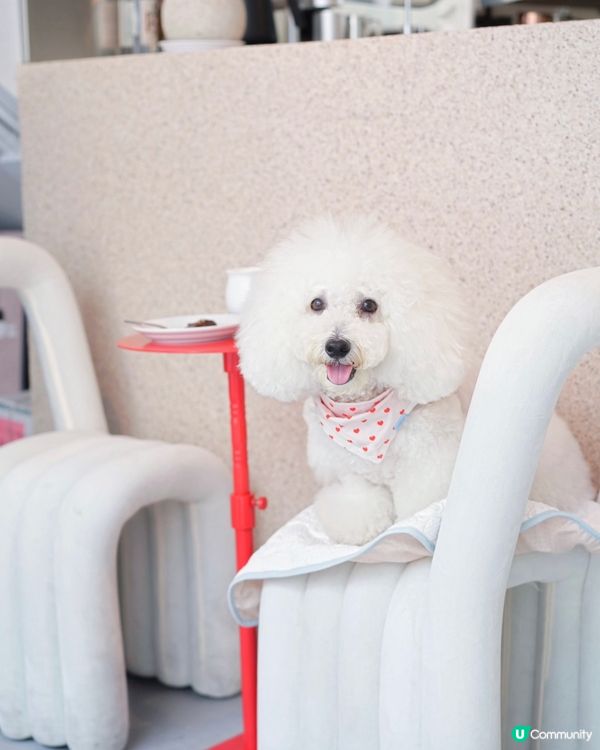 上環新街新cafe 大推邪惡曲奇