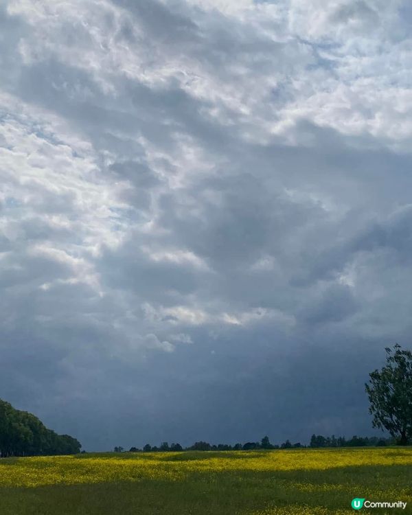 ［立陶宛旅遊］立陶宛🇱🇹十字架山