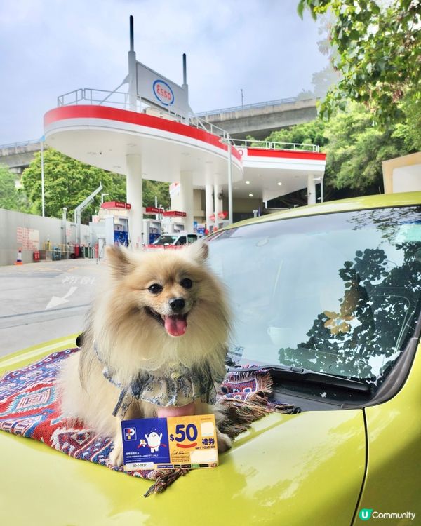 入油送你百佳現金卷