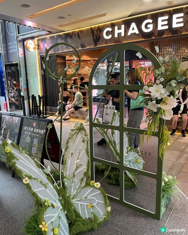 初夏必飲奶茶🧋!