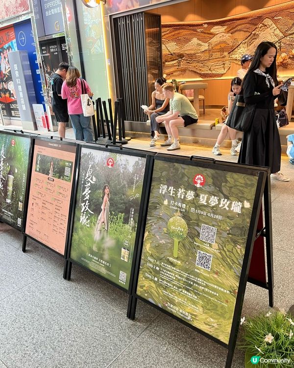 初夏必飲奶茶🧋!