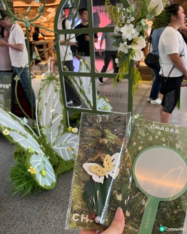 初夏必飲奶茶🧋!