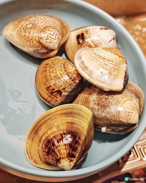 高CP🍲火鍋放題🥢大頭蝦🦐乳鴿🐦任你食