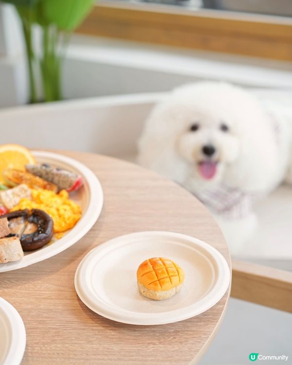 母親節限定花束咖啡禮物 100%狗狗友善