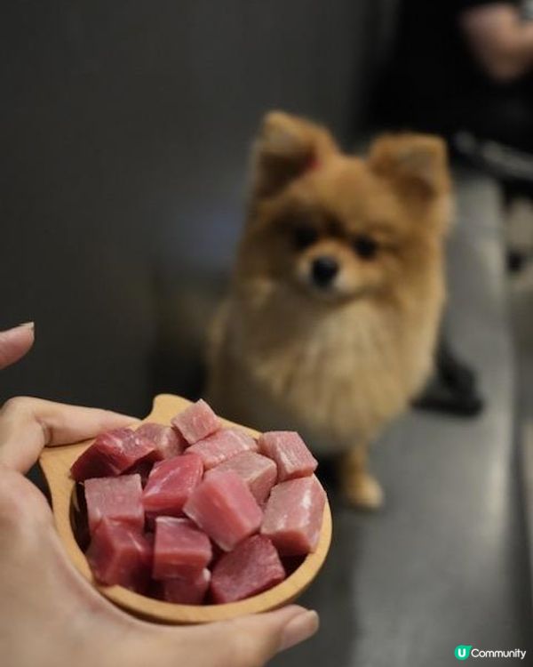 真·寵物友善火鍋店