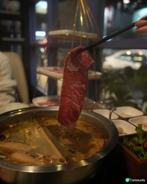 真·寵物友善火鍋店