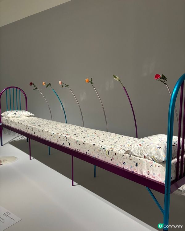 最近文青藝術熱點🔥 M+畢加索與亞洲對話展😍