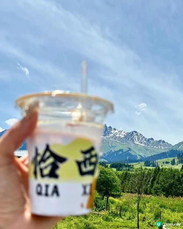 綠野仙蹤秘境🏔️🤩騎馬玩樂