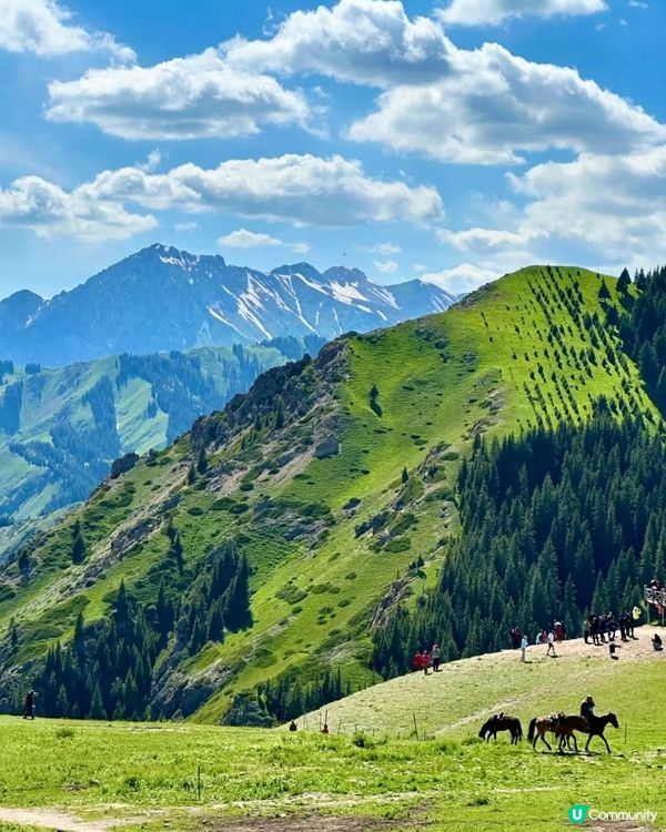 綠野仙蹤秘境🏔️🤩騎馬玩樂