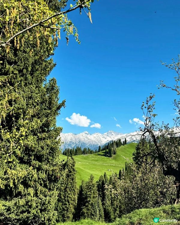 綠野仙蹤秘境🏔️🤩騎馬玩樂