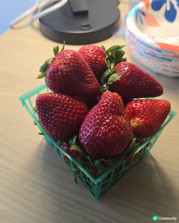 美國大大粒士多啤梨🍓