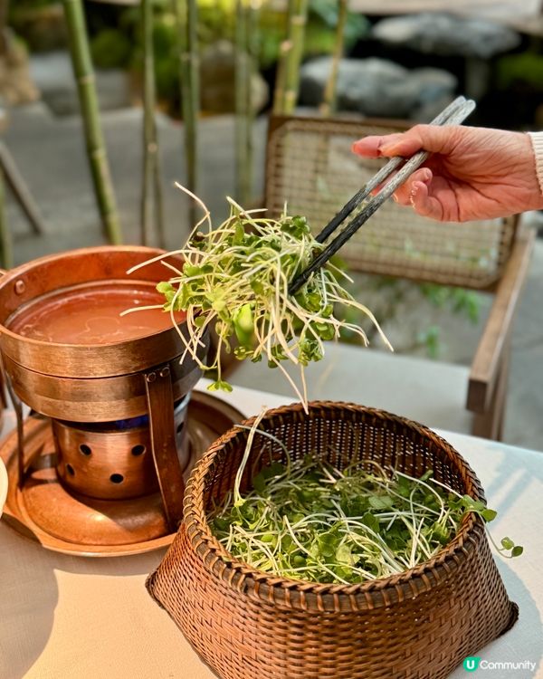 🥢城市中隱世嘅竹林雅宴 🌿
