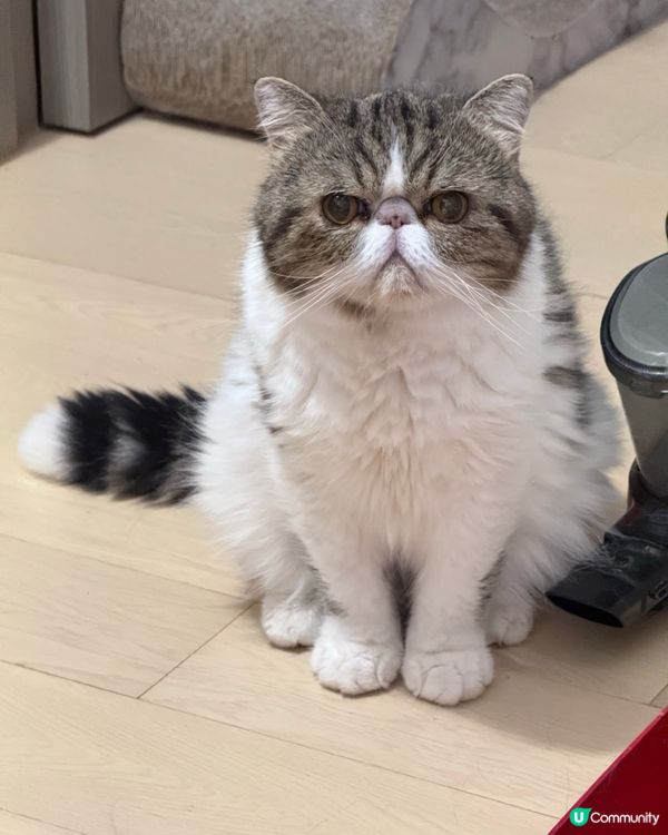 我今日企定定俾你影,乖唔乖呀?