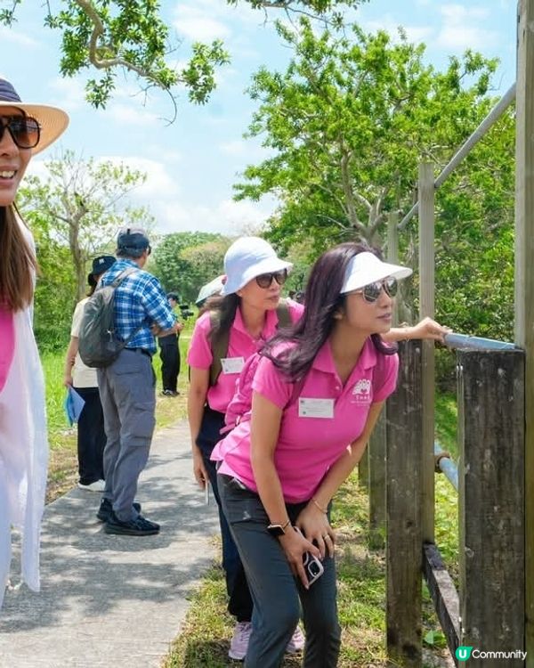 精神健康基金會「心寧步道」啟用 米埔大自然靜觀療癒心靈