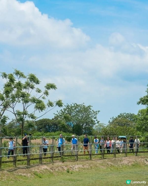 精神健康基金會「心寧步道」啟用 米埔大自然靜觀療癒心靈