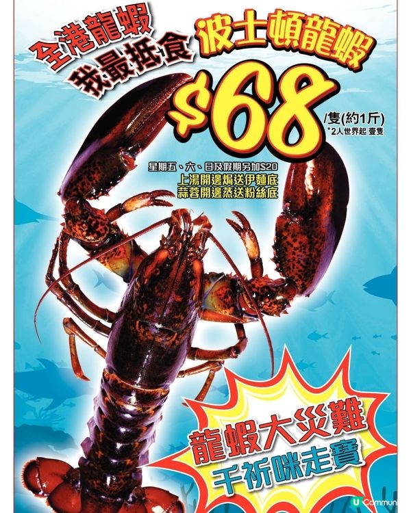 龍寶酒家 波士頓龍蝦$68 /隻