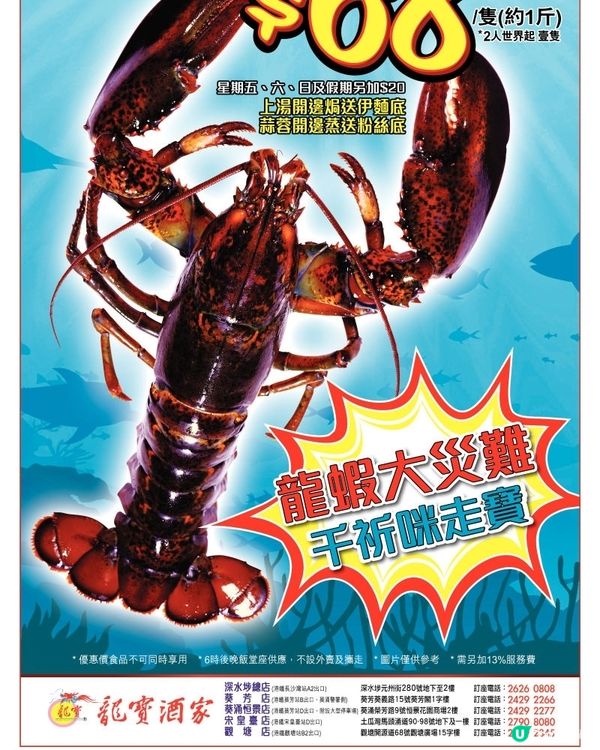 龍寶酒家 波士頓龍蝦$68 /隻