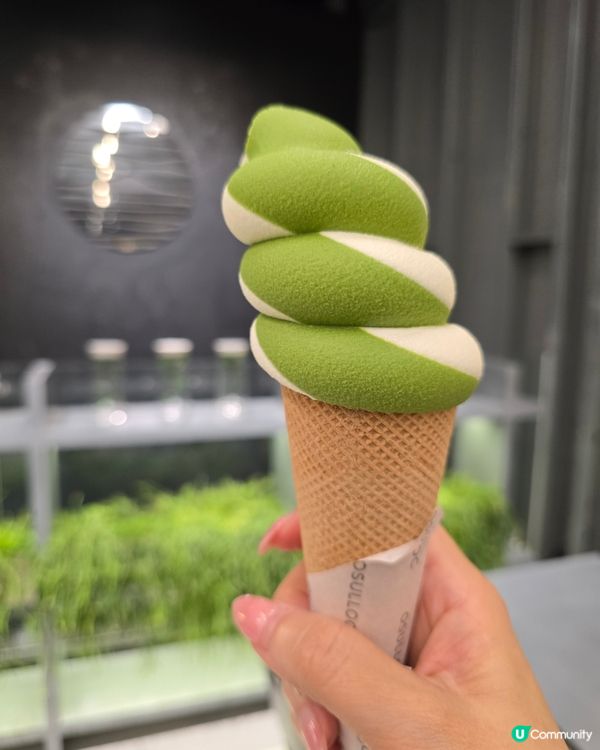 濟州綠茶🍵海雲台驚喜！🍦