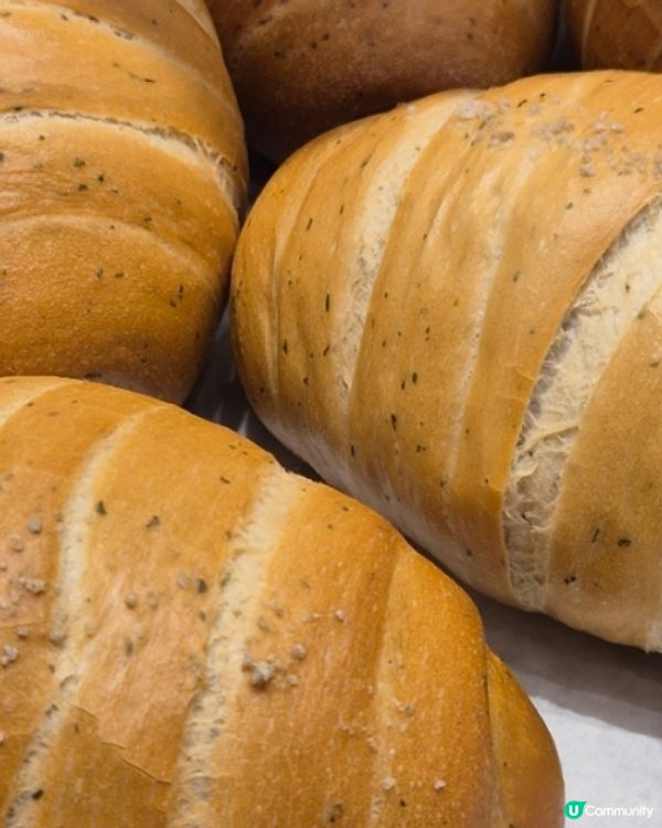 🇰🇷江南隱藏版高質咖啡廳推薦｜Pan Musée | 撻