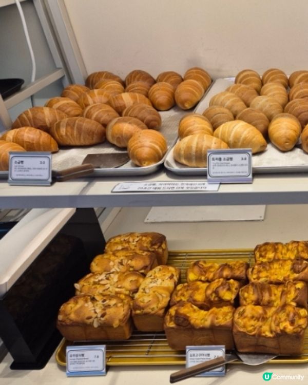 🇰🇷江南隱藏版高質咖啡廳推薦｜Pan Musée | 撻