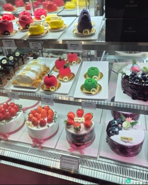 🇰🇷江南隱藏版高質咖啡廳推薦｜Pan Musée | 撻