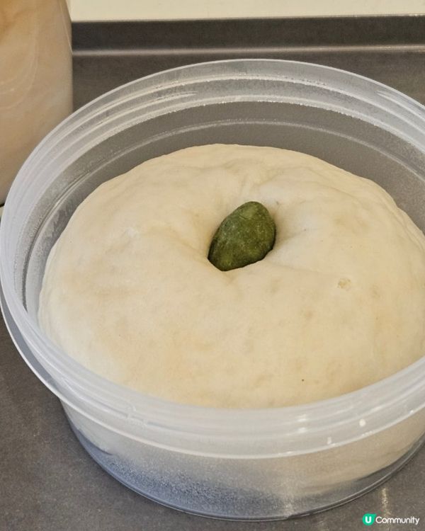 🇰🇷江南狎鷗亭超可愛麵包店｜Tongtonge | 麵包