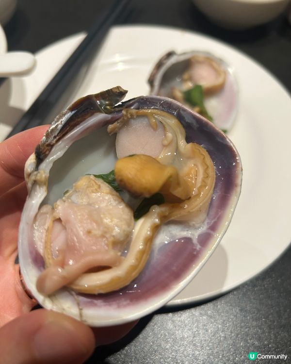 深圳羅湖🦞青蓬海上撈蒸品海鮮城萬象