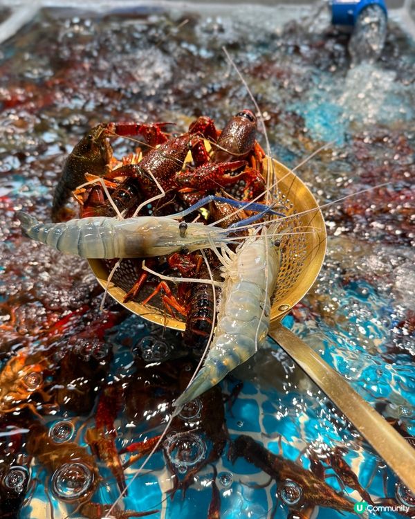 《超人氣深圳活抓活吃海鮮自助餐!》