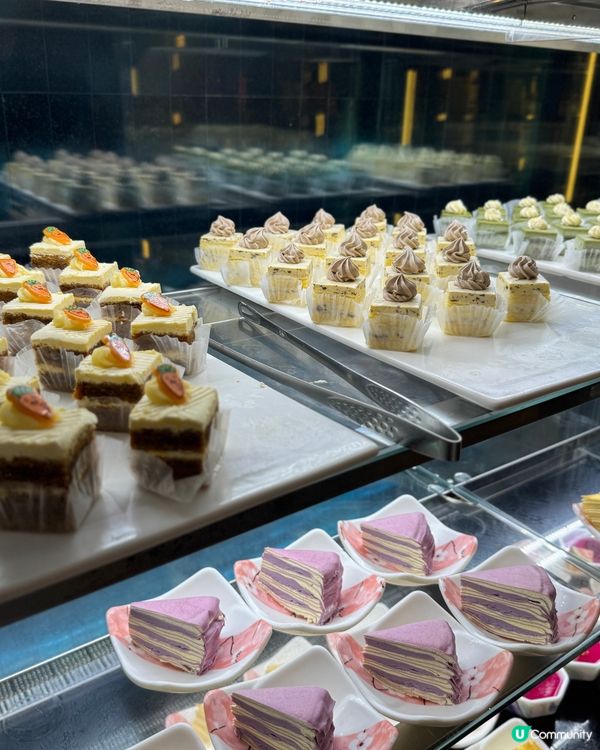 《超人氣深圳活抓活吃海鮮自助餐!》