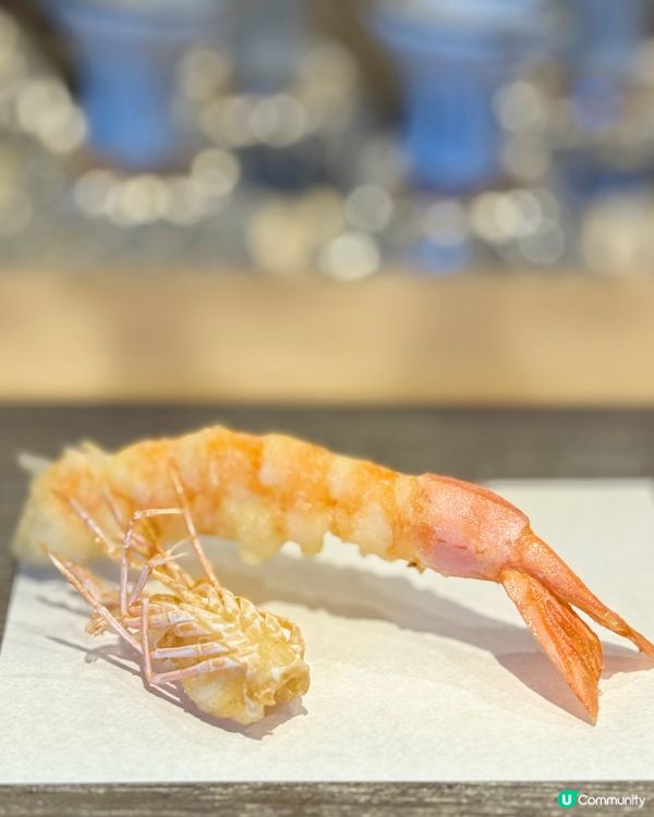 大板必食 ｜ 連獲8️⃣年米芝蓮 omakase「鮨 よこ田」