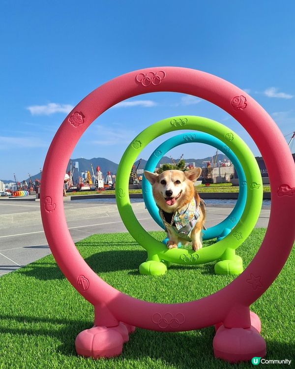 啟德打卡新地標！紅白格仔屋 🐶📸