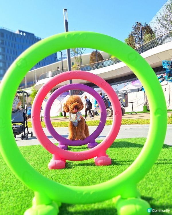 啟德打卡新地標！紅白格仔屋 🐶📸