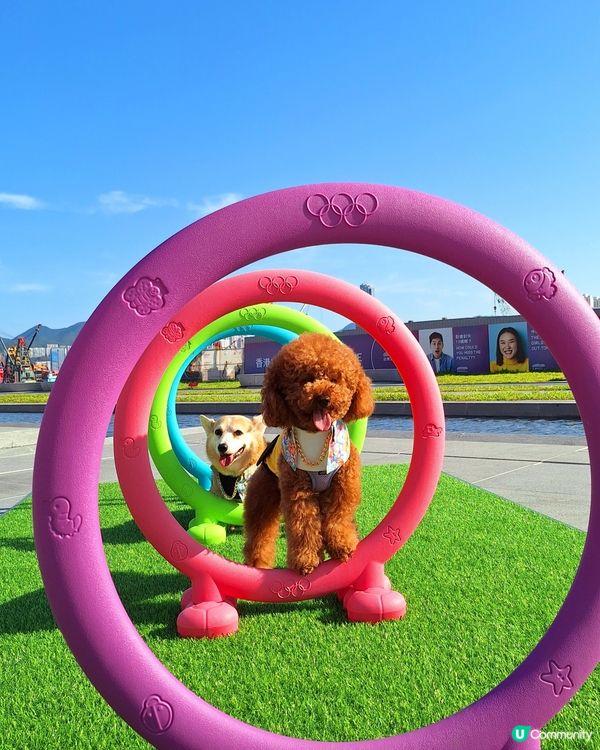 啟德打卡新地標！紅白格仔屋 🐶📸