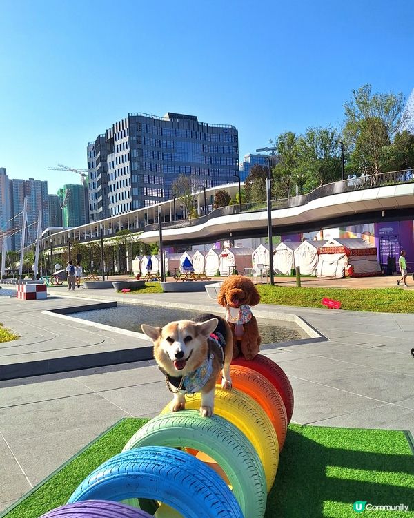 啟德打卡新地標！紅白格仔屋 🐶📸