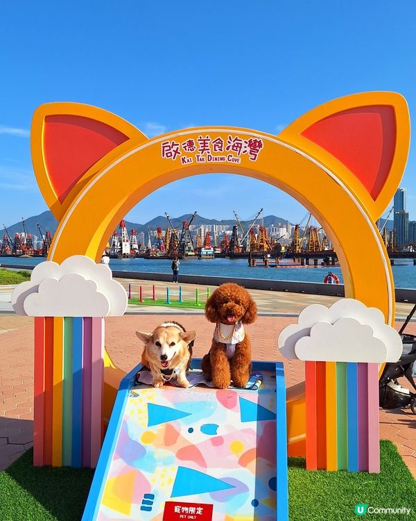 啟德打卡新地標！紅白格仔屋 🐶📸