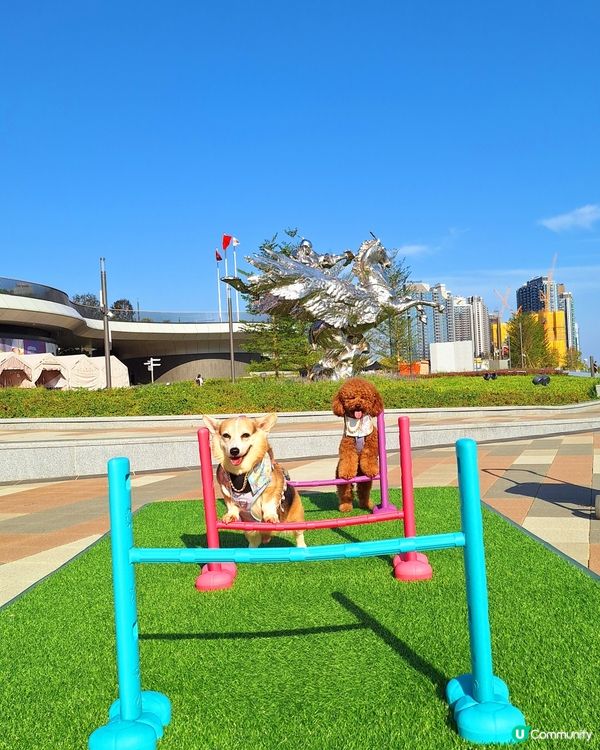 啟德打卡新地標！紅白格仔屋 🐶📸