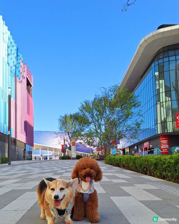 啟德打卡新地標！紅白格仔屋 🐶📸