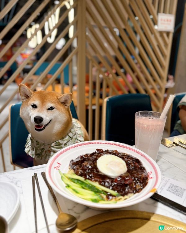 帶毛孩食韓式料理