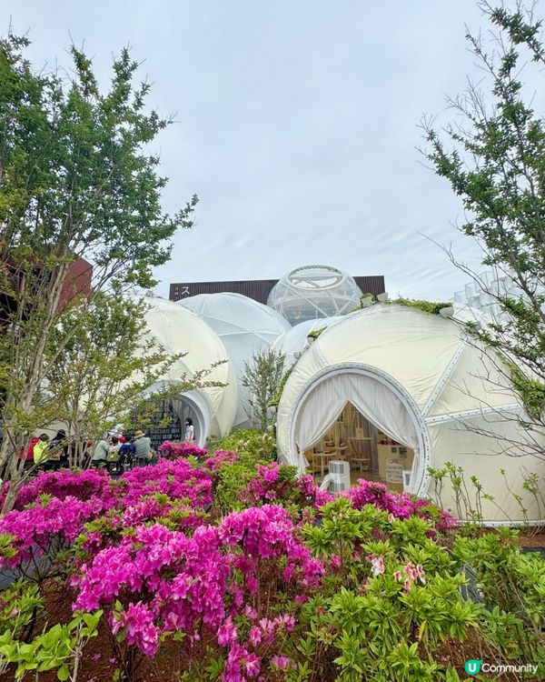 一場世界文化的盛典 ｜ 大板世博會2025🌏