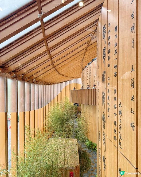 一場世界文化的盛典 ｜ 大板世博會2025🌏