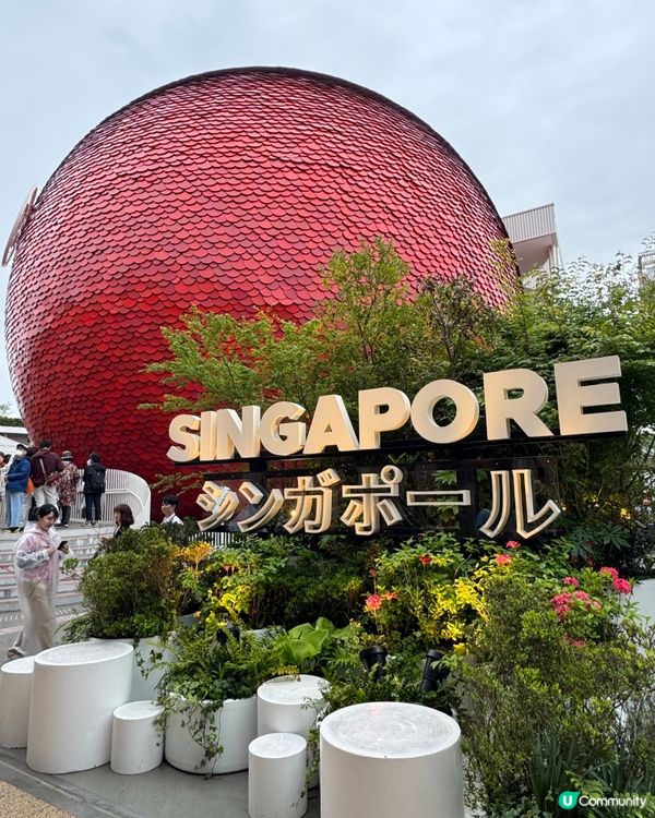 一場世界文化的盛典 ｜ 大板世博會2025🌏