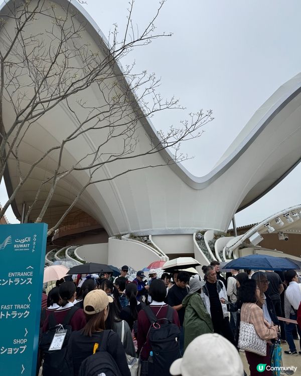 一場世界文化的盛典 ｜ 大板世博會2025🌏