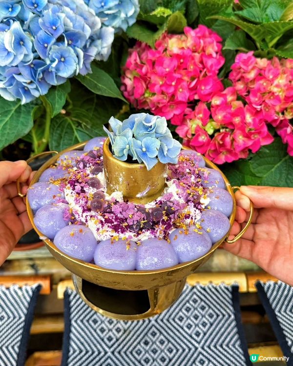 《深圳巷子菜市老火鍋·品嚐成都正宗老味道》