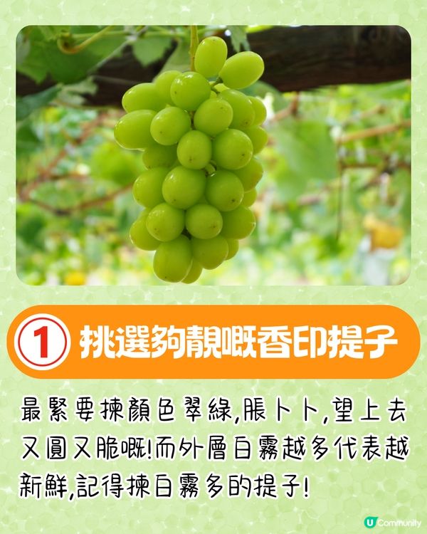 日本香印提子爆紅食法🍇用OO浸即香甜爆汁⁉️逾240萬人瀏覽🤗