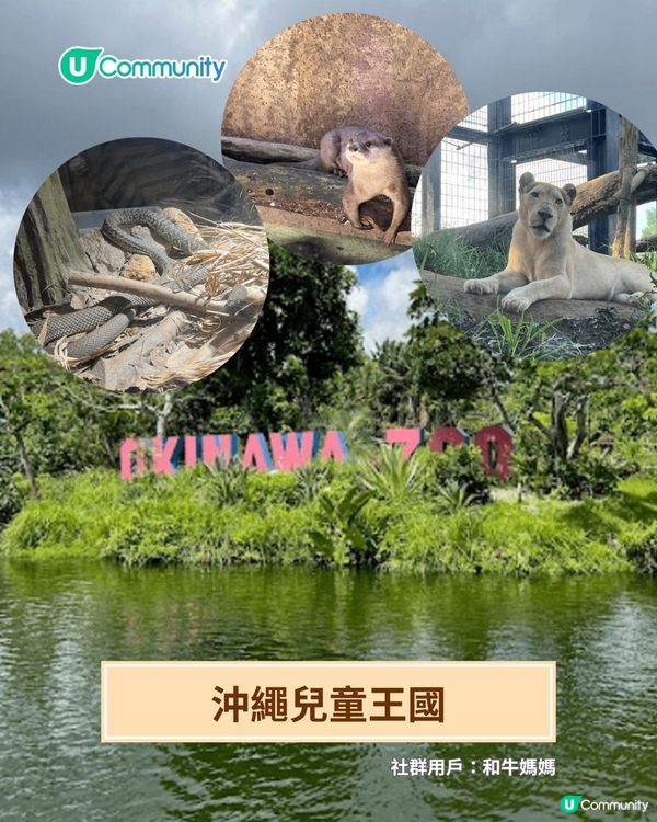 沖繩親子遊全攻略👨‍👩‍👦‍👦 | 必吃餐廳／掃街美食／兒童王國👦🏻💕