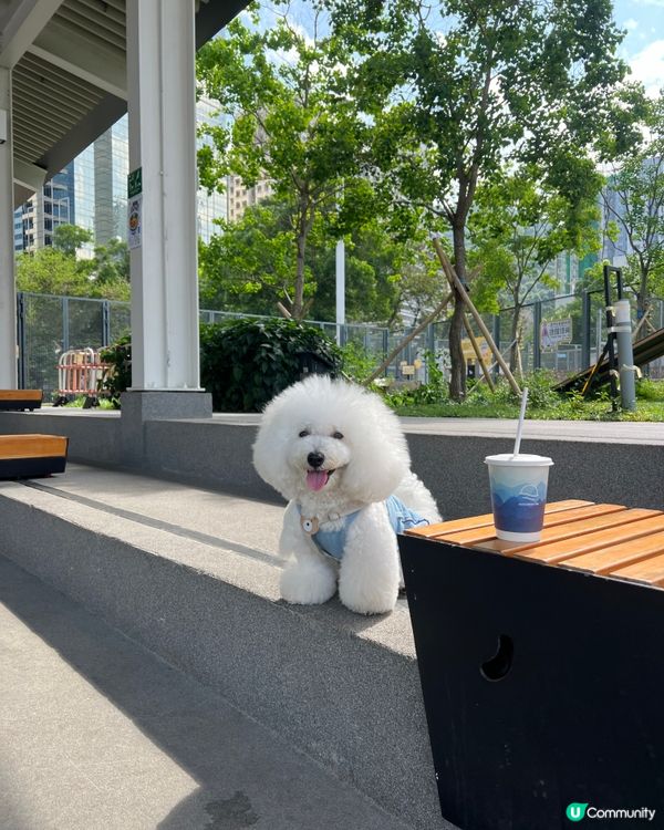 我嘅「非佛」放電之選