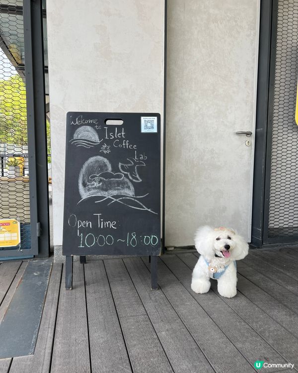 我嘅「非佛」放電之選