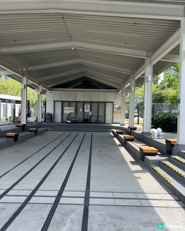 我嘅「非佛」放電之選