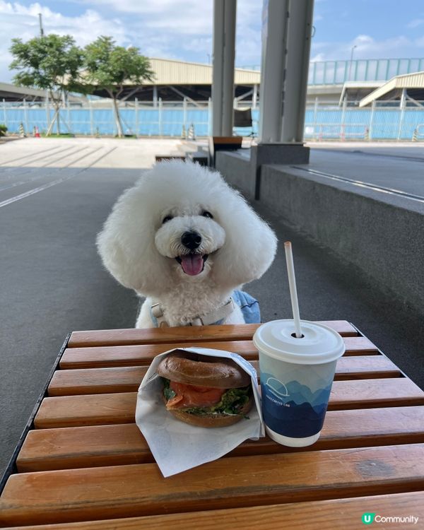 我嘅「非佛」放電之選